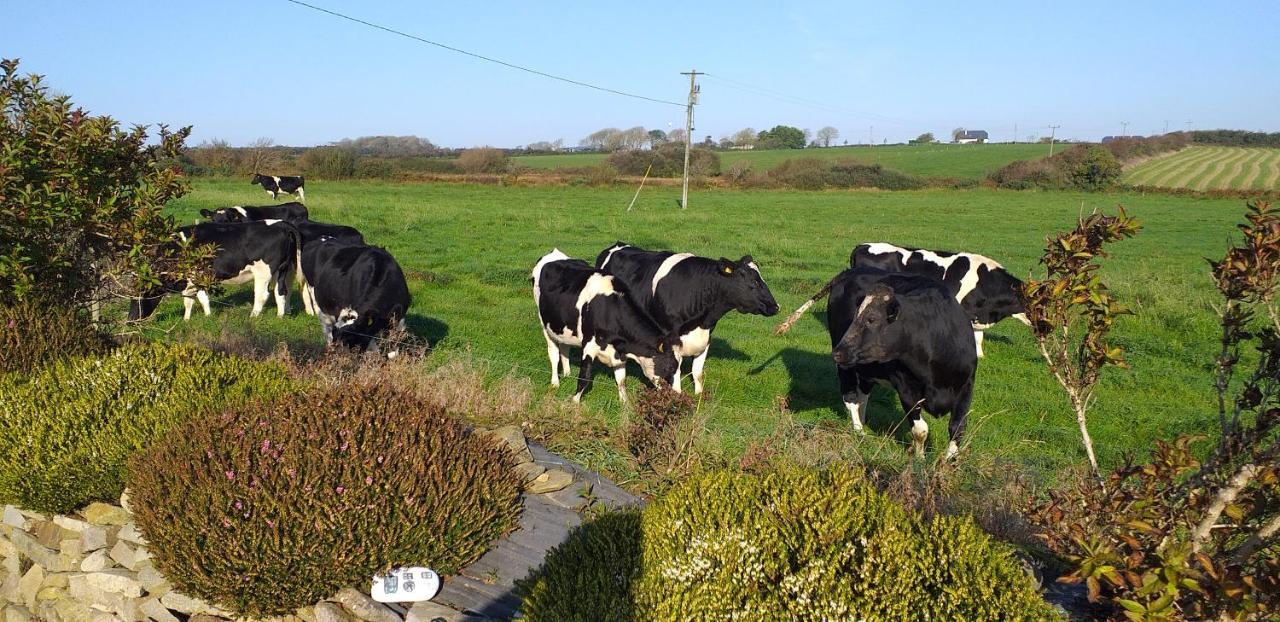 Villa Murphys Irish Farmhouse Tralee Exterior foto