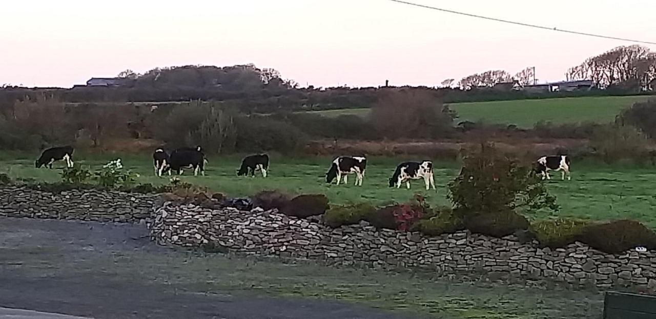 Villa Murphys Irish Farmhouse Tralee Exterior foto